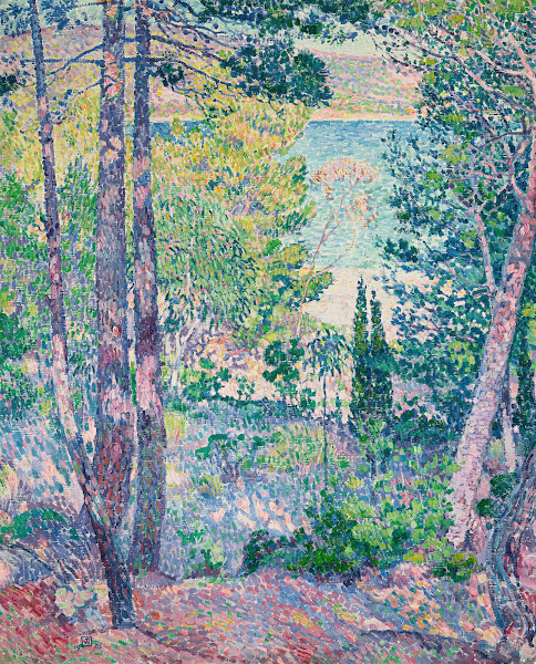 Eucalyptus à Cavalière 1905