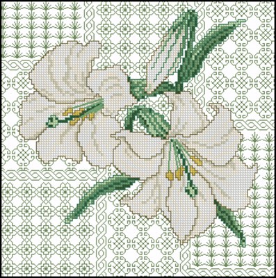 CMP 330451 Pattern