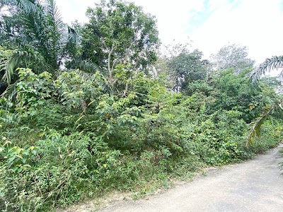 Tanah Desa Vista, Sepang — foto 4/9