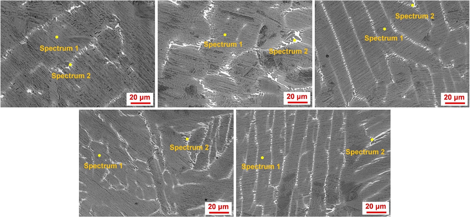 Effect of Ta addition on microstructure and mechanical properties of Ti46Al1.5Cr8Nb alloy