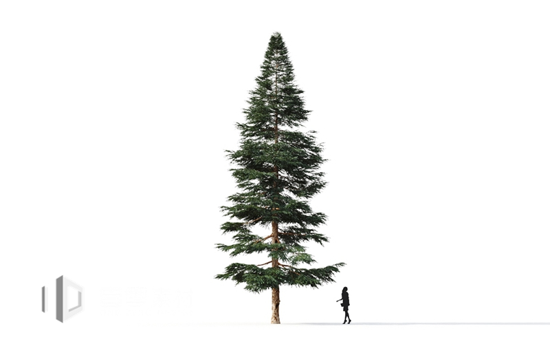 Maxtree - Plant Models Vol.9