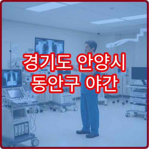 경기도 안양시 동안구 야간 피부과 진료 병원 두드러기·아토피 상담 가능