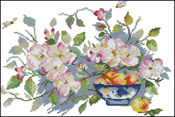 CMP 171556 Pattern