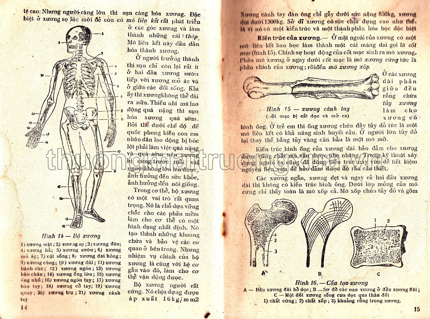 Giải phẫu và sinh lý người (lớp 8 phổ thông, tập 1 - 1960) - Trang 8