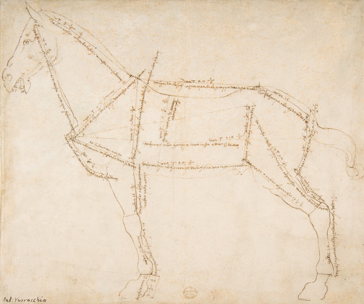 Measured Drawing Of A Horse Facing Left Ca 148088