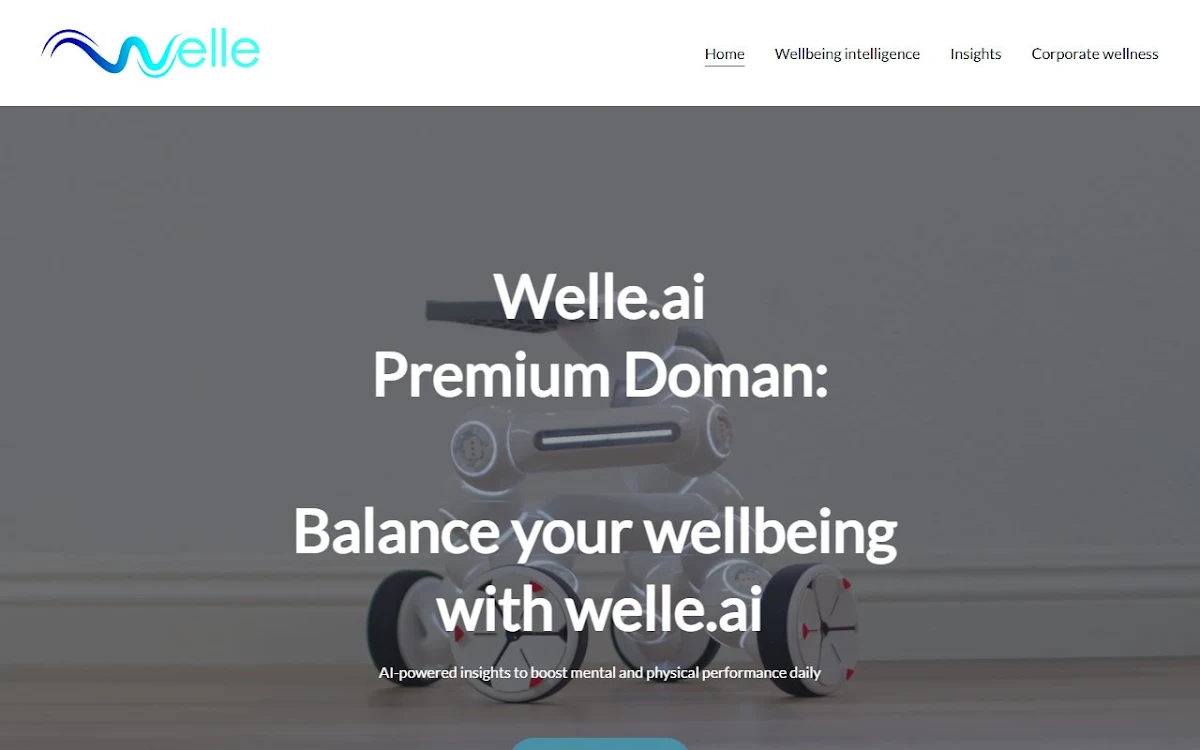 Captura de Welle.ai