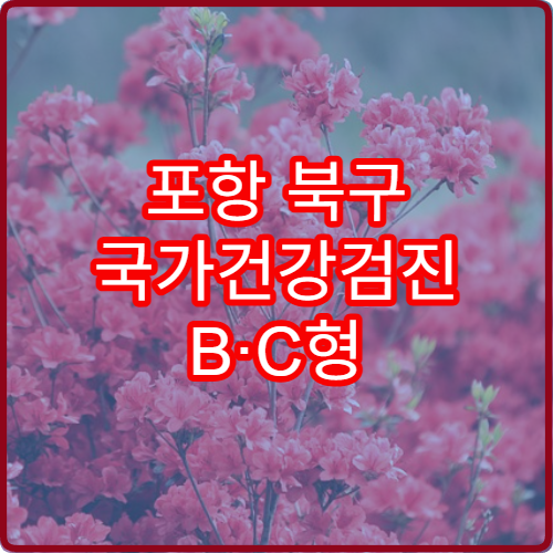 포항 북구 국가건강검진 B·C형 60대 2026 예약법