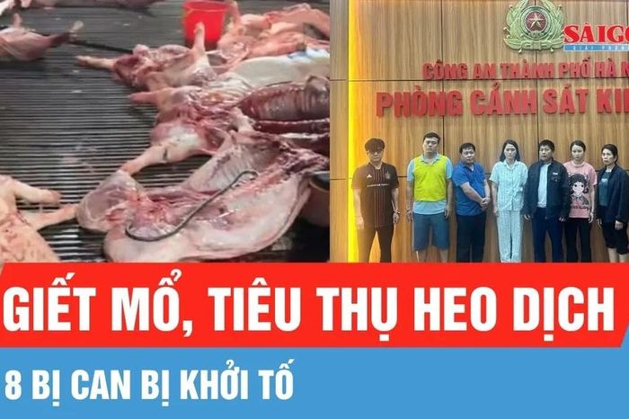 Hà Nội: Khởi tố 8 bị can trong đường dây giết mổ, tiêu thụ heo dịch - Báo Sài Gòn Giải Phóng