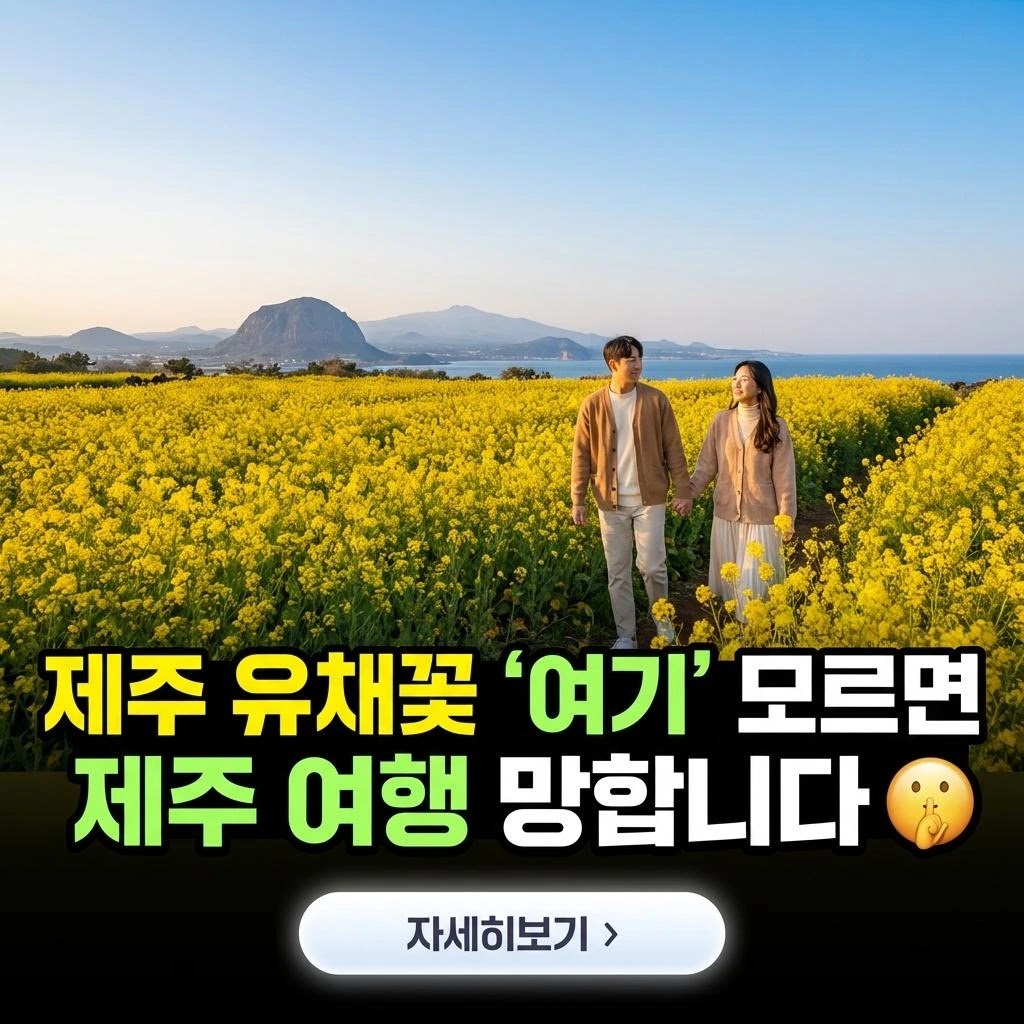 제주 유채꽃 2026: 절정! 완벽 가이드 5가지 핵심