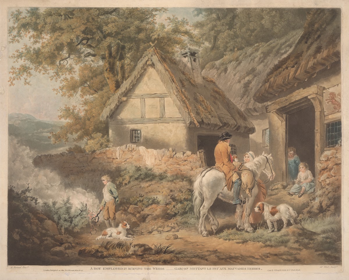 A Boy Employed in Burning Weeds 1799