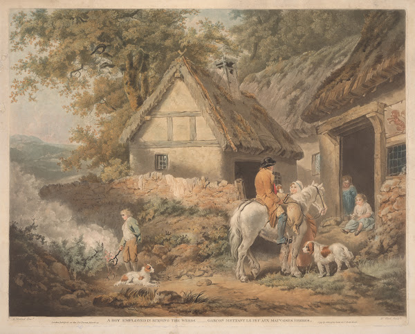 A Boy Employed in Burning Weeds 1799