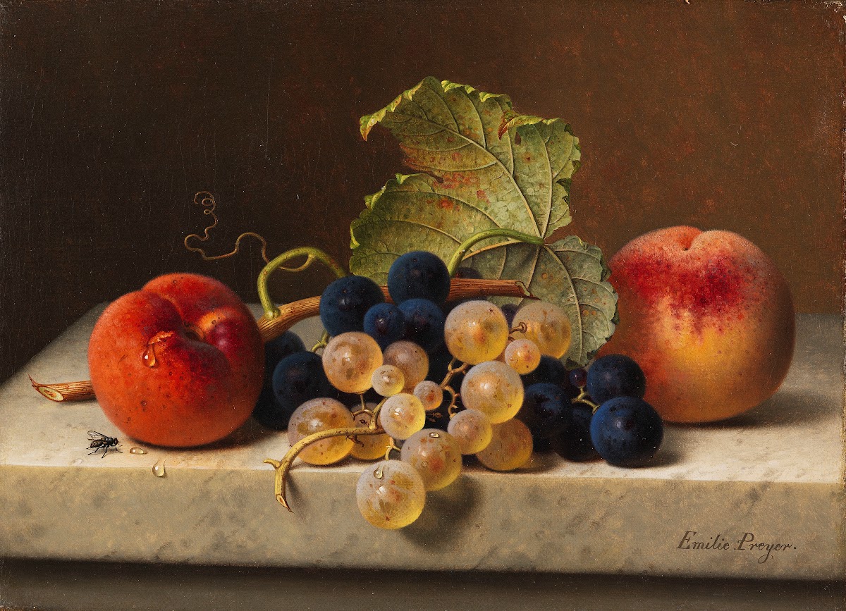 Fruit still life with two peaches and blue and green grapes on the branch and a