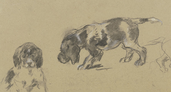 Studienblatt Junge Jagdhunde
