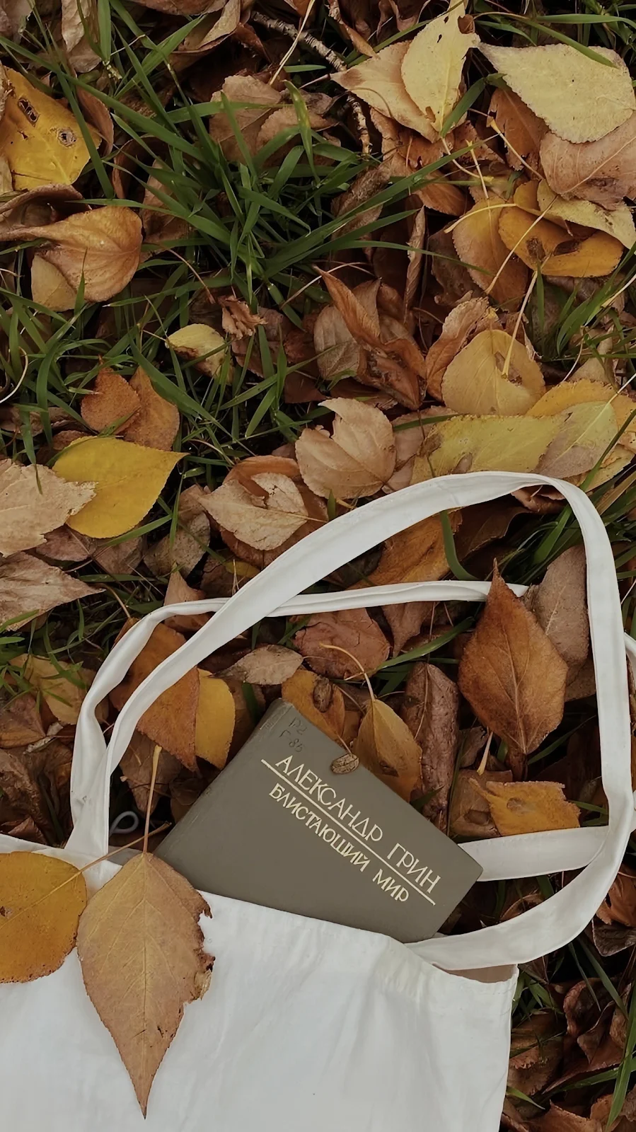 Alexander Grin Book in Tote Bag - Lifestyle Photography Full HD iPhone Wallpaper (1286x2288)