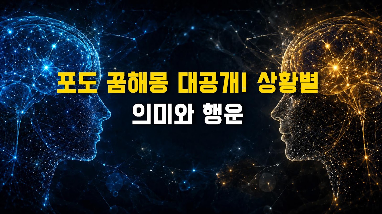 포도 꿈해몽 대공개! 상황별 의미와 행운