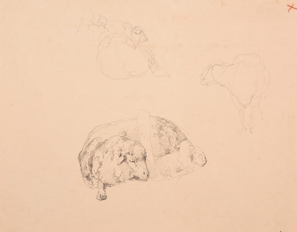 Études de moutons
