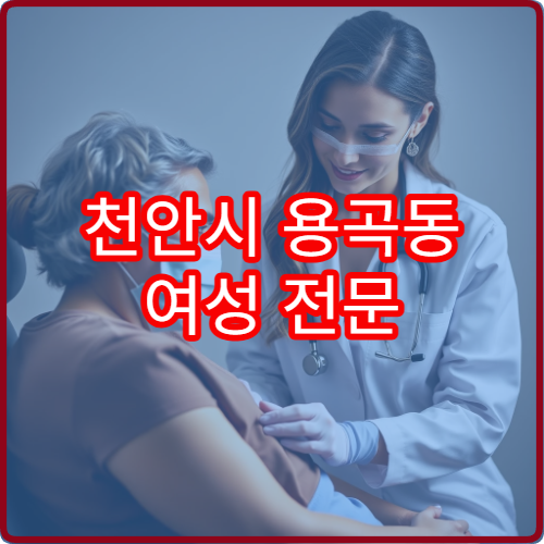 천안시 용곡동 여성 전문 산부인과 야간 진료 병원 추천