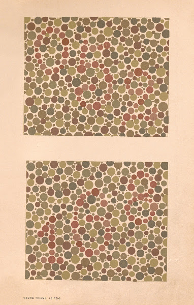 Stillings pseudo isochromatic plates for testing color perception Pl16 1929