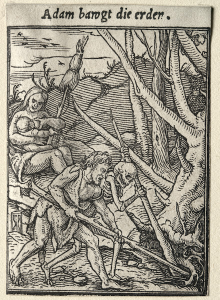 Adam Tilling the Ground c 1526