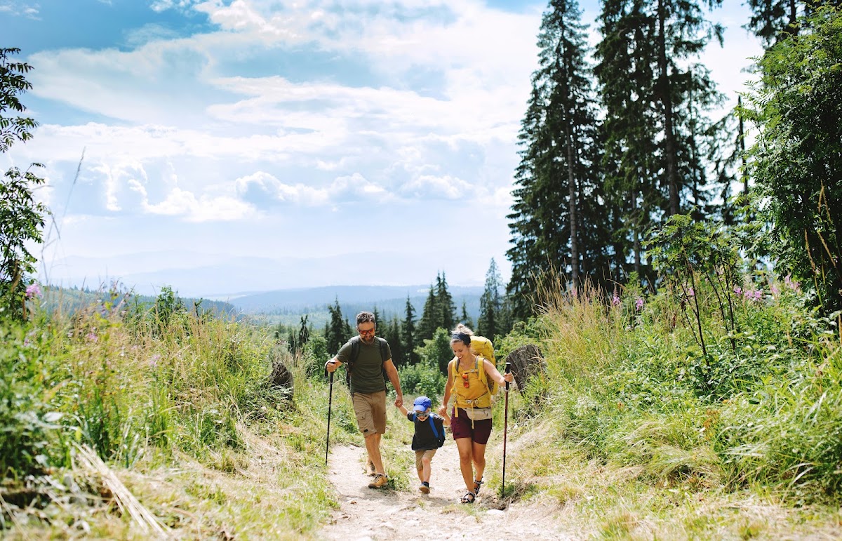 Family hiking a mountain trail through a wildflower meadow