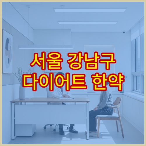 서울 강남구 다이어트 한약 비만 이상 증상 치료 전문 한의원 추천