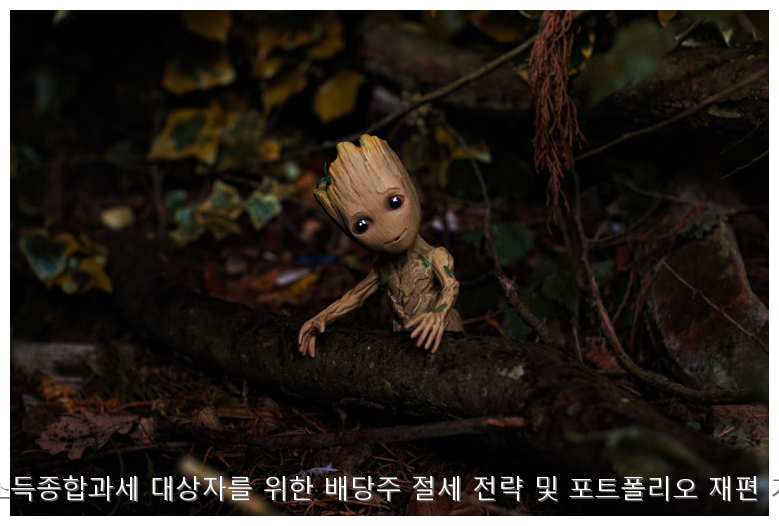 금융소득종합과세 대상자를 위한 배당주 절세 전략 및 포트폴리오 재편 가이드 핵심 안내 및 분석 인포그래픽 (4)