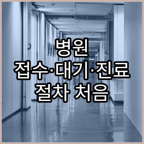 병원 접수·대기·진료 절차 처음 가는 사람 안내서