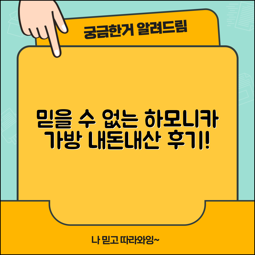 믿을 수 없는 하모니카가방구매 내돈내산 후기!