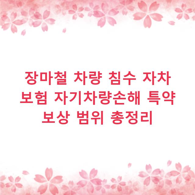 장마철 차량 침수 자차 보험 자기차량손해 특약 보상 범위 총정리