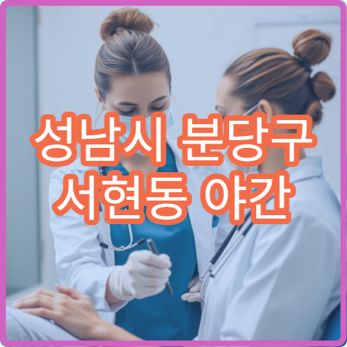 성남시 분당구 서현동 야간 내과 진료 가능한 병원 늦은 시간 진료 안내
