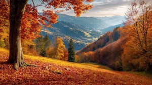 Autumn Wallpaper
