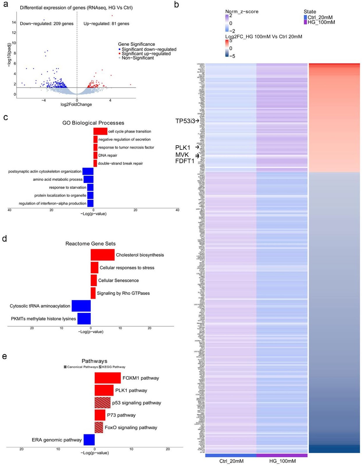 Targeting p75NTR activity alleviates the neurotoxic effect of high glucose on iPSC-derived dopaminergic neurons