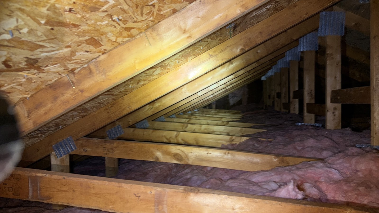 Copy of IMG_2026-03-13_14-15-09_142.jpg