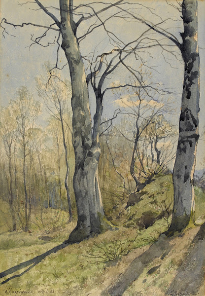 Paysage de sous bois 1885