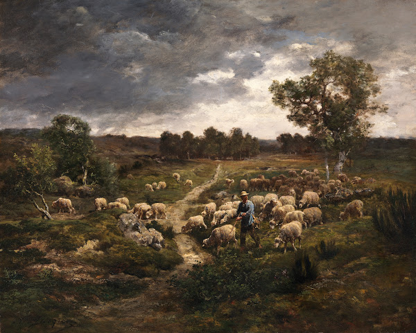 Sheep 1840 1894