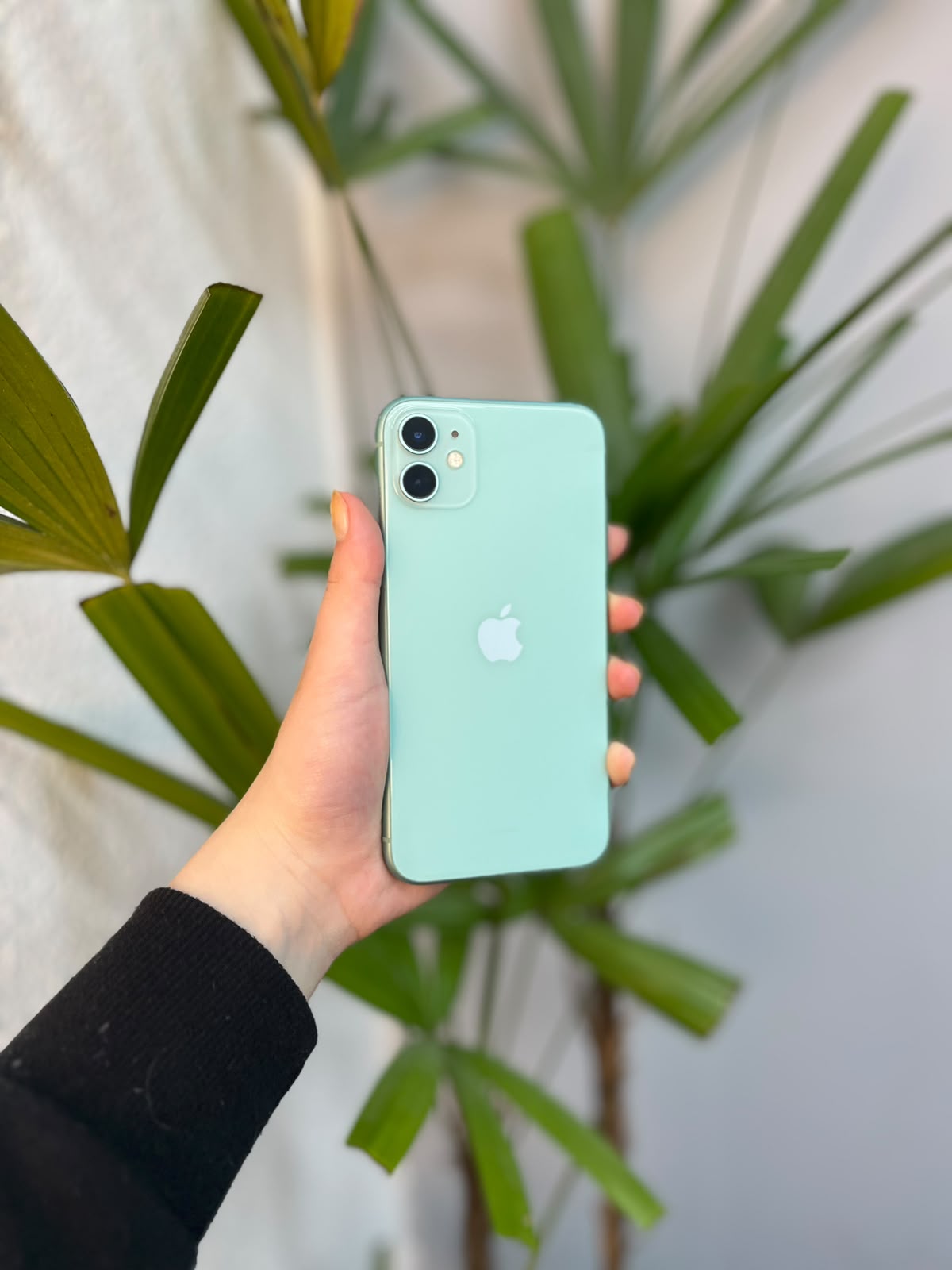 iPhone 11 64GB Verde