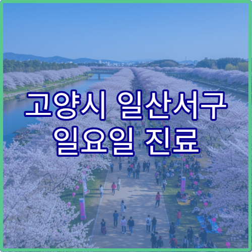 고양시 일산서구 일요일 진료 류마티스내과 병원 관절염·만성 통증 상담 가능