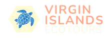 Virgin Islands Eco Kayak Tour