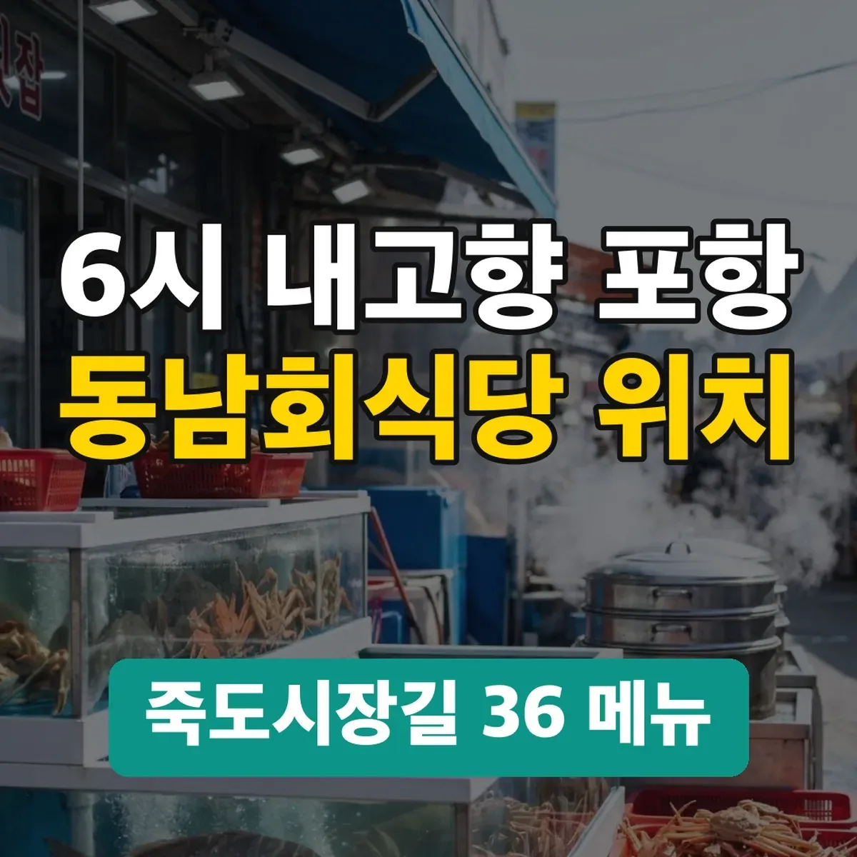 6시 내고향 포항 동남회식당 위치, 죽도시장길 36 메뉴