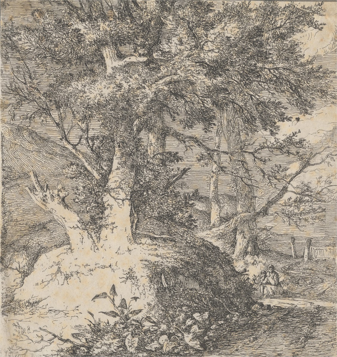 Wooded Landscape ca 1812