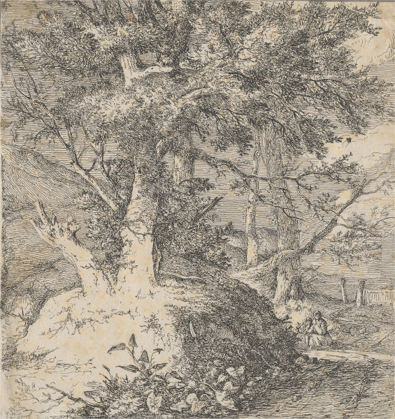 Wooded Landscape ca 1812