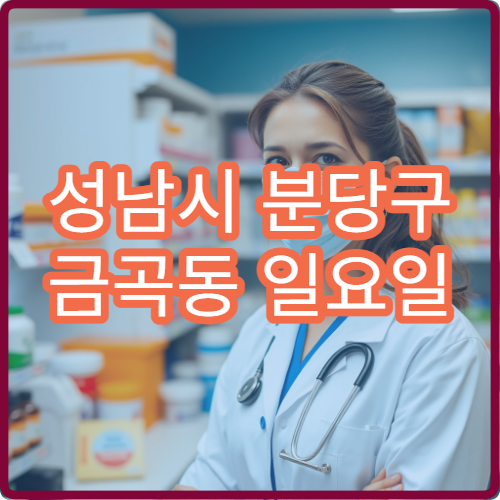 성남시 분당구 금곡동 일요일 당번약국 미금역 주변 약국