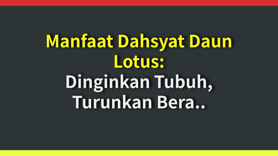 Manfaat Dahsyat Daun Lotus: Dinginkan Tubuh, Turunkan Berat Badan, Sehatkan Limpa