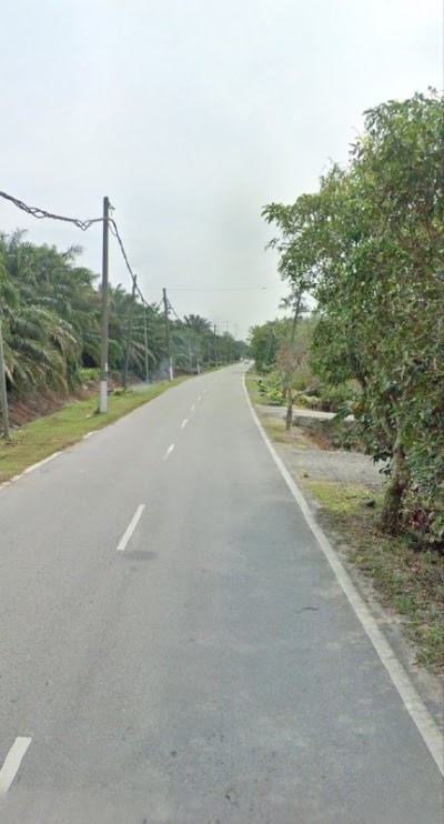Tanah Pertanian Olak Lempit 2.9 Ekar — foto 2/8