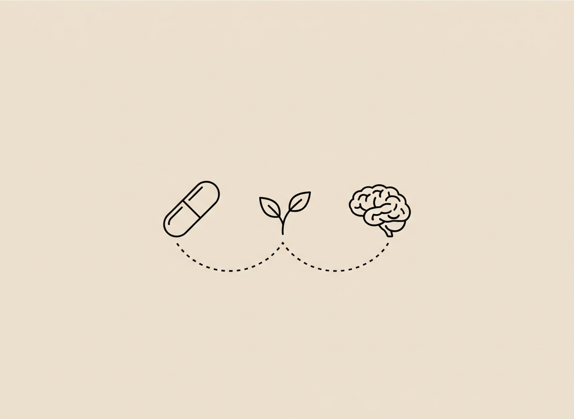 Minimal Tonum-style line illustration of a capsule, leaf, and small brain linked by a dotted line on a beige background — magnesium glycinate cognitive benefits