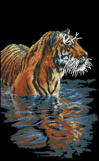 CMP 400013 Tiger Chilling