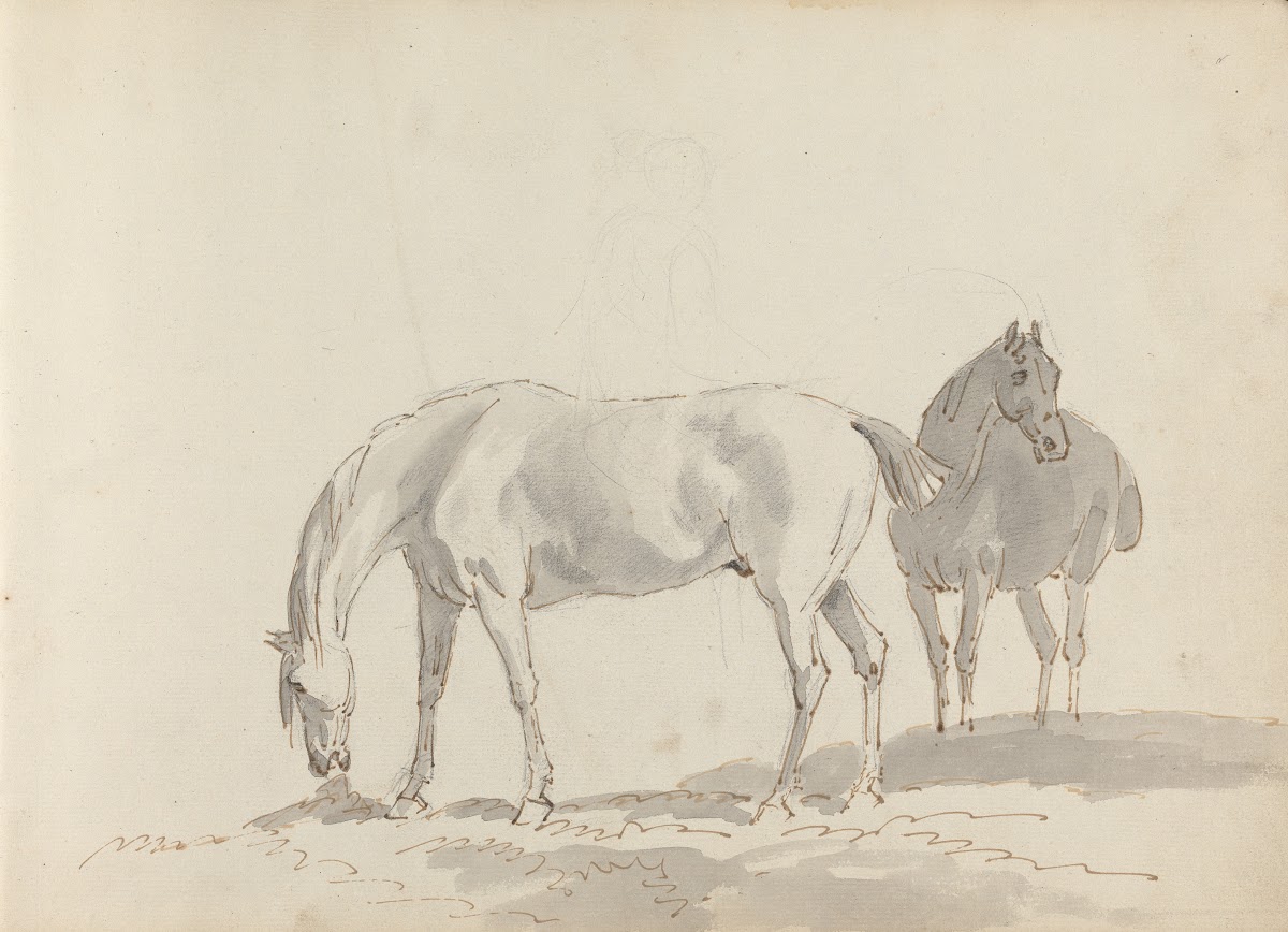 Fourty three Studies of Horses and Riders Pl19 1787