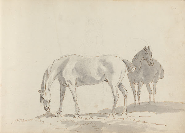 Fourty three Studies of Horses and Riders Pl19 1787