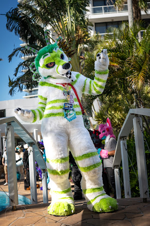 furdu-03917.jpg