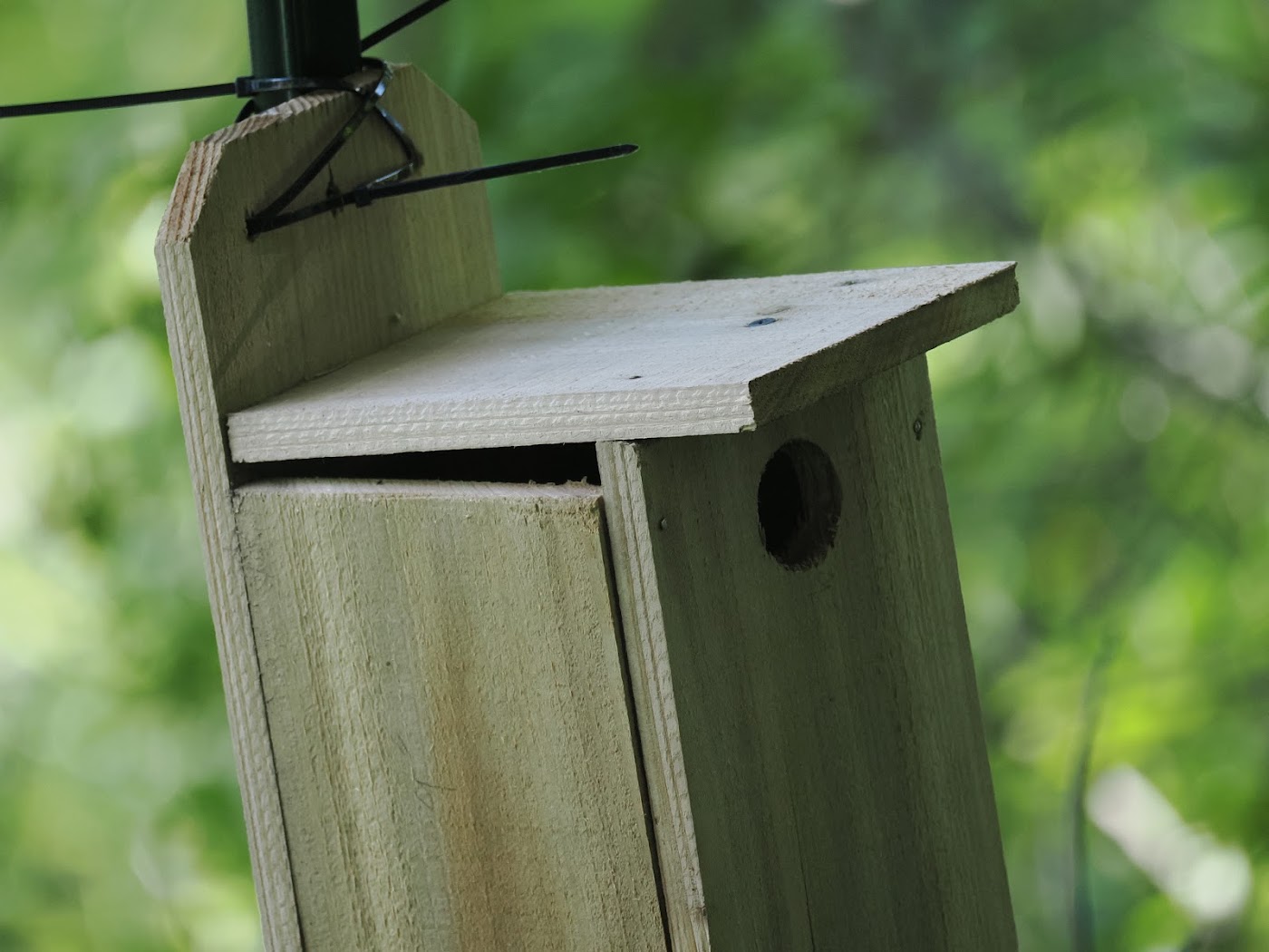 A bird box built by students for the Lake Jonah Project